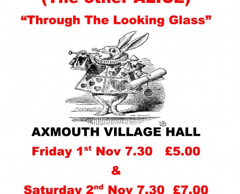 Alice Through the Looking Glass