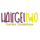 Hairgel 2: Karma Chameleon